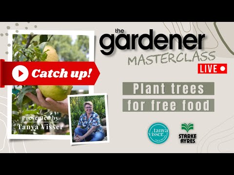 Vídeo: Cultivar nectarines en climes freds - Arbres de nectarines per a la zona 4
