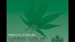 Alpha Blondy - Marijuana chords