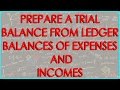 Prepare a Trial Balance from Ledger balances of Expenses and Incomes