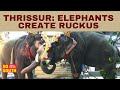 Unexpected turn at Thrissur's Arattupooja festival as elephants run wild