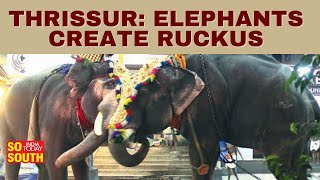 Elephants Run Amok Amid the Arattupooja Festival in Thrissur; Many Injured | SoSouth