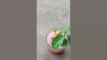 Mango Plant With Eggs And With AloeVera#viral#trending#YouTube#short#video