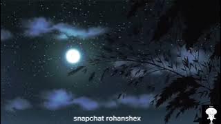 Timmies-again (slowed down) - shiloh dynasty