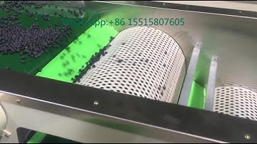 hot sale blueberry grader, blueberry sorter grading sorting machine