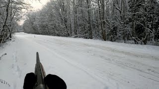 05 декабря. Охота на зайца с русским гончим Баяном.