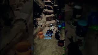 ELLOS JAMAS TE ABANDONAN #gatos #cat #subscribemychannel