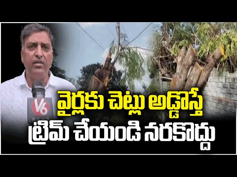 Lashkar Guda Residents Comments On Electric Department Regarding Tree Cuttings | V6 News - V6NEWSTELUGU