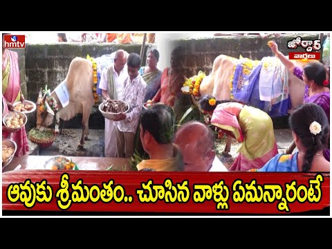ఆవుకు శ్రీమంతం.. చూసిన వాళ్లు ఏమన్నారంటే | Jordar News | hmtv - HMTVNEWS