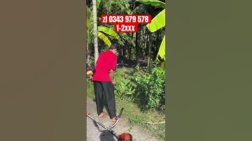 cắt cỏ kioritz nhật bãi