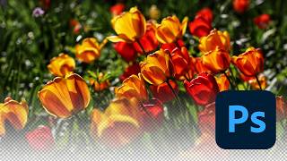 How to Fade an Image to Transparent in Photoshop #creative #photoshop #tutorial #design #easy How to Fade an Image to Transparent in Photoshop #creative #photoshop #tutorial #design #easy