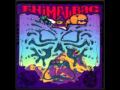 Animal Bag - Mirrored Shades
