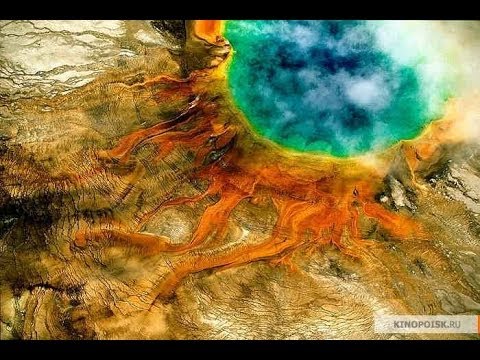 ДОМ. История путешествия (Режиссерская версия)