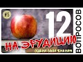 Тест на эрудицию №5. ТЕСТ ДЛЯ УМНЫХ на общие знания. Проверь себя. Оцени свой кругозор.