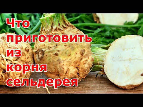 Что приготовить из корневого сельдерея. Три полезных блюда из сельдерея - драники, суп-пюре, салат.