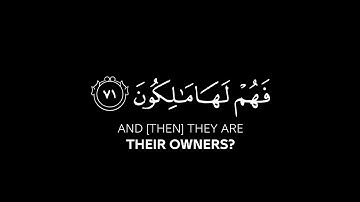 أولم يروا أنا خلقنا لهم مما عملت أيدينا#سورة_يس القارئ #ياسر_الدوسري #quran