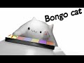 Lets go Bongo cat in 3d EPILEPSY WARNING