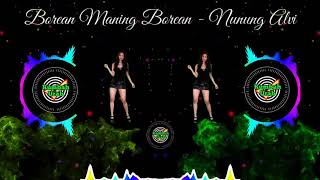 Borean Maning Borean (Karaoke Lirik) - Nunung Alvi