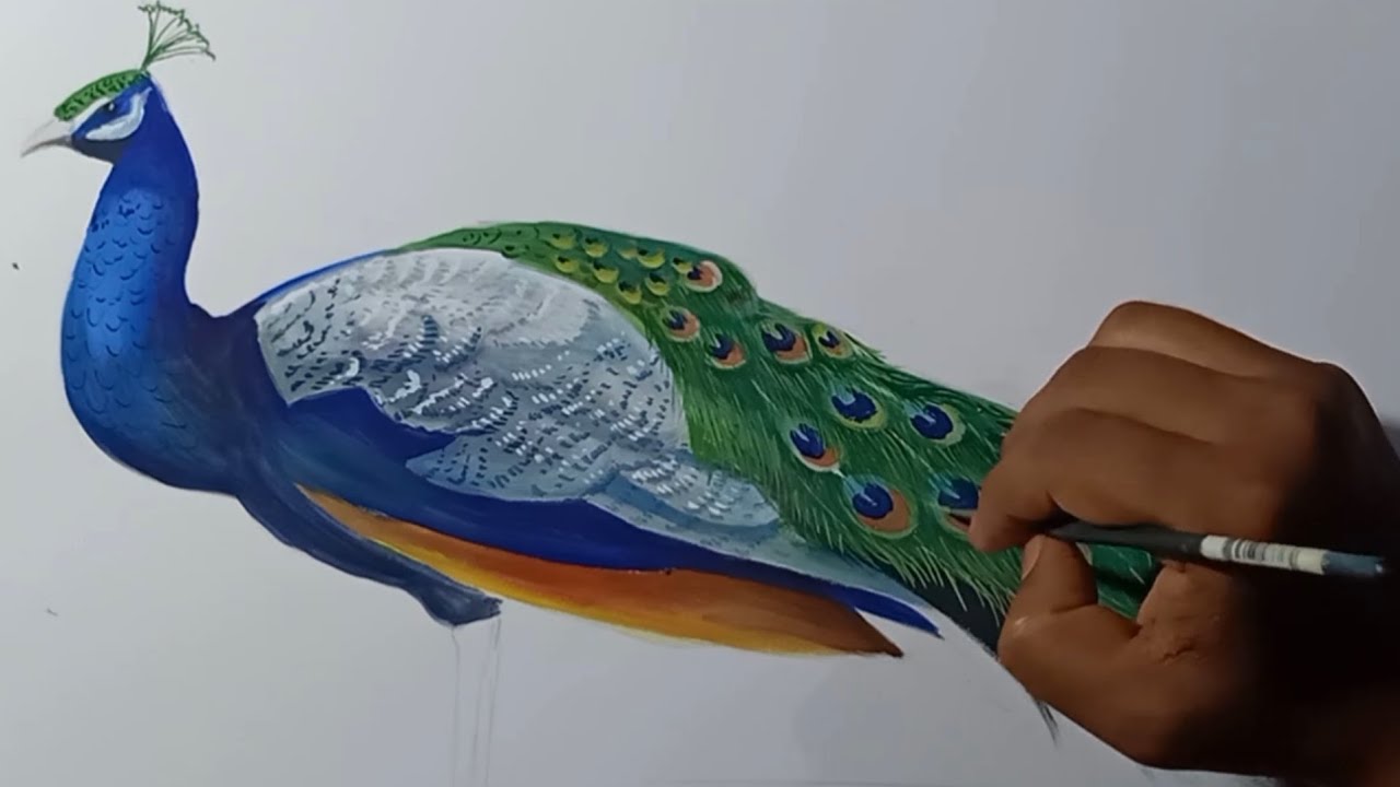 How to draw a peacock step by step | Poster Colour Painting - YouTube