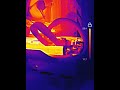 Coup de CHAUD ? Température du PC en Caméra Thermique (i5-11600KF/GTX 1080)