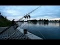 Download Instant River Carp Fishing Instant River Carp Fishing