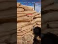 Battlefield 5  #battlefield5 #battlefield #battlefieldclips
