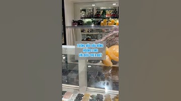 Tượng rùa đầu rồng hoàng long, vài điều chưa biết #ruadaurong #longquy #tuongruadaurong #dahoanglong