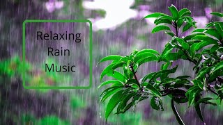 Best Rain Relaxation Music | Calm Music