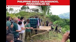 Philippine Eagle, pinakawalan sa Sarangani