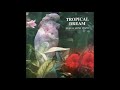 Stefan Schramm & Jonas Kvarnström - Tropical Dream
