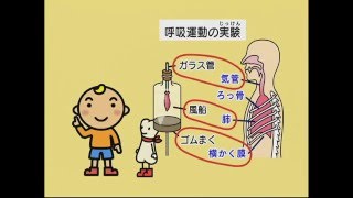 体の仕組みが図解イラストやアニメでわかる 小学生の理科 Youtube