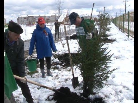 Апрельский снег - не помеха