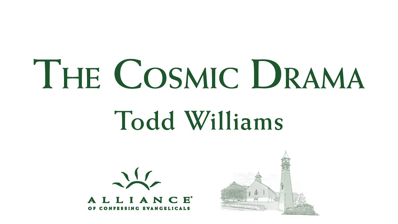Job Message 1: The Cosmic Drama - Todd Williams