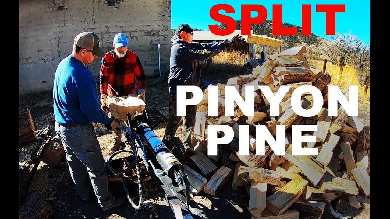 SPLITTING Pinyon Pine in New Mexico for Firewood! 553 YouTube