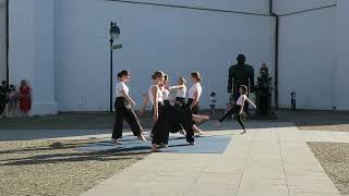 Zlom_Tan.skupina RedDance_Současný tanec_Buskers fest České Budějovice