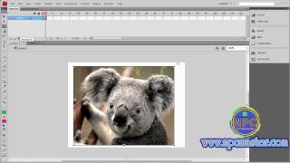 9  How to Use Free transform Tool in Adobe Flash CS4 Sinhala HD