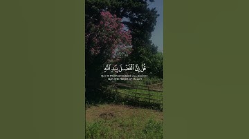 سورة آل عمران القارئ الشيخ "شريف مصطفى " مشاء الله 😍
