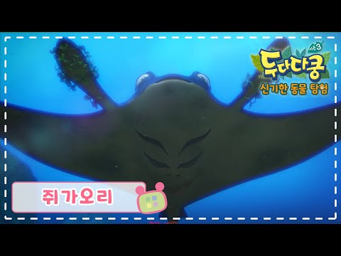 | 두다다쿵3 <strong>신기한</strong> <strong>동물</strong> 탐험 | 모두의 탐험 사전 | 어린이 <strong>동물</strong> 학습 | Animation for Kids | Animals for Kids