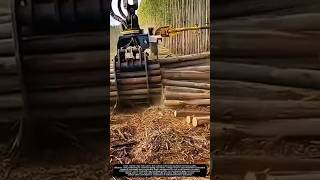 Automated Log Handling in Modern Forestry! #shorts