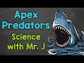 Understanding Apex Predators and Their Role in Ecosystems