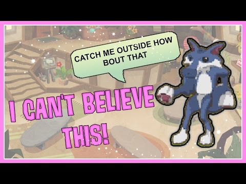 ANIMAL JAM I CAN'T BELIEVE THIS! + SHEEP!