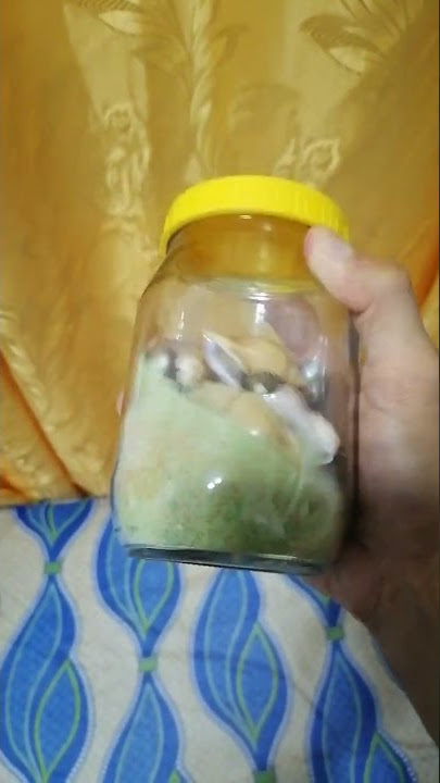 Seashells in a Bottle #shorts #asmr #seashells#beta #bottle #calmingsounds #relaxingmusic #music