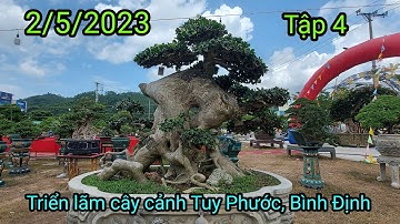 Triển lãm cây cảnh Tuy Phước, Bình Định, (Tập4) những tuyệt phẩm cực kỳ đẹp tháng 5, 2023