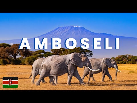 Amboseli National Park Kenya Safari Experience: Spectacular Wildlife and Mount Kilimanjaro Views