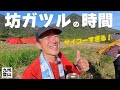 【くじゅうでテント泊】 秋の坊ガツルでのんびり過ごすのはサイコーに贅沢な時間ですね。 2025.9月初旬