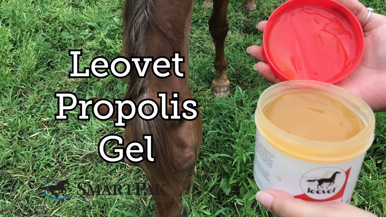 Propolis Gel by Leovet Review
