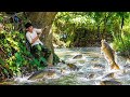 CEO Triệu Quyết fishes on a large river, cares for an elderly woman, and cooks delicious meals.