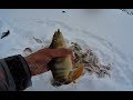 Хотел собираться и тут НАЧАЛОСЬ!!!ЖОР ОКУНЯ НА БАЛАНСИР!!!Рыбалка 2020 fishing, perch