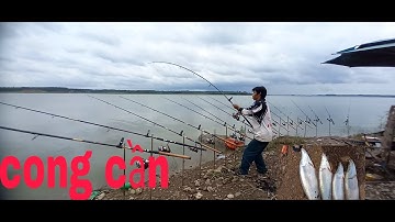 Hành trình săn nàng hai và cái kết phê người. Tuansongray #cauca #rê loc