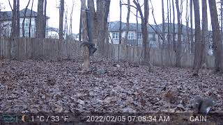 Cain cam 220205