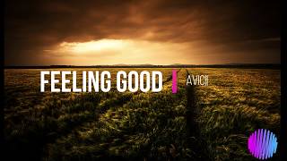 Avicii - Feeling Good (Lyrics) - Subtitulada Ingles y Español Resimi